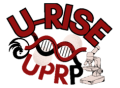 U-RISE LOGO